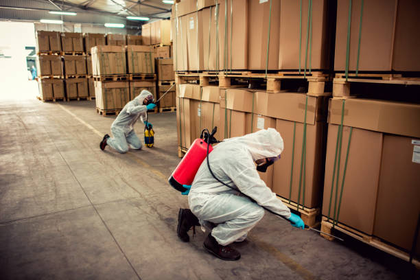 Wildlife Control Services in Laurel, MS