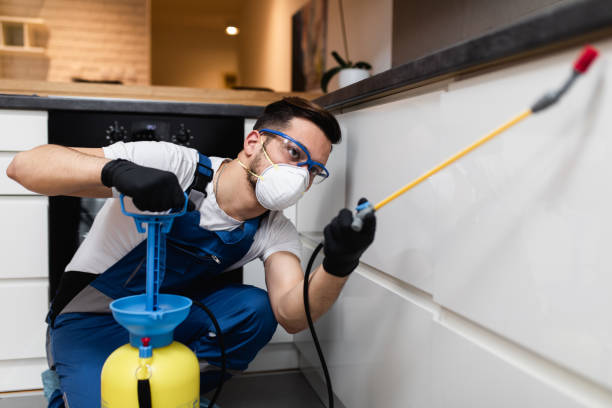 Best Mosquito Control Services  in Laurel, MS