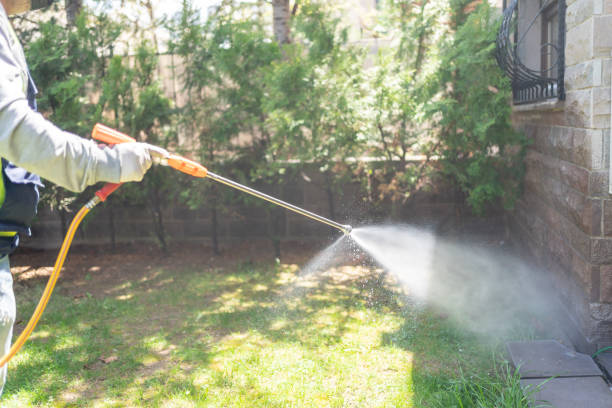 Best Pest Removal Services  in Laurel, MS