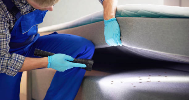 Best Affordable Exterminators  in Laurel, MS