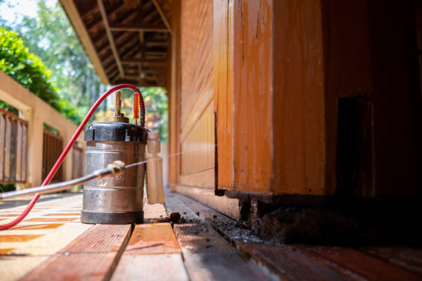 Best Best Pest Control Companies  in Laurel, MS