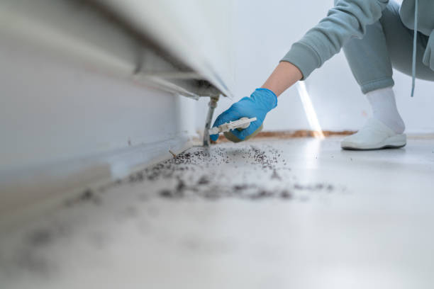 Best Commercial Pest Control Services  in Laurel, MS